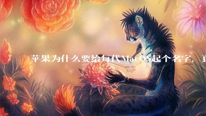 苹果为什么要给每代MacOS起个名字,真以为人们记得住分得清吗?